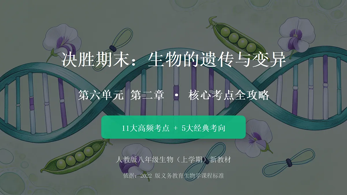 18443296第1页