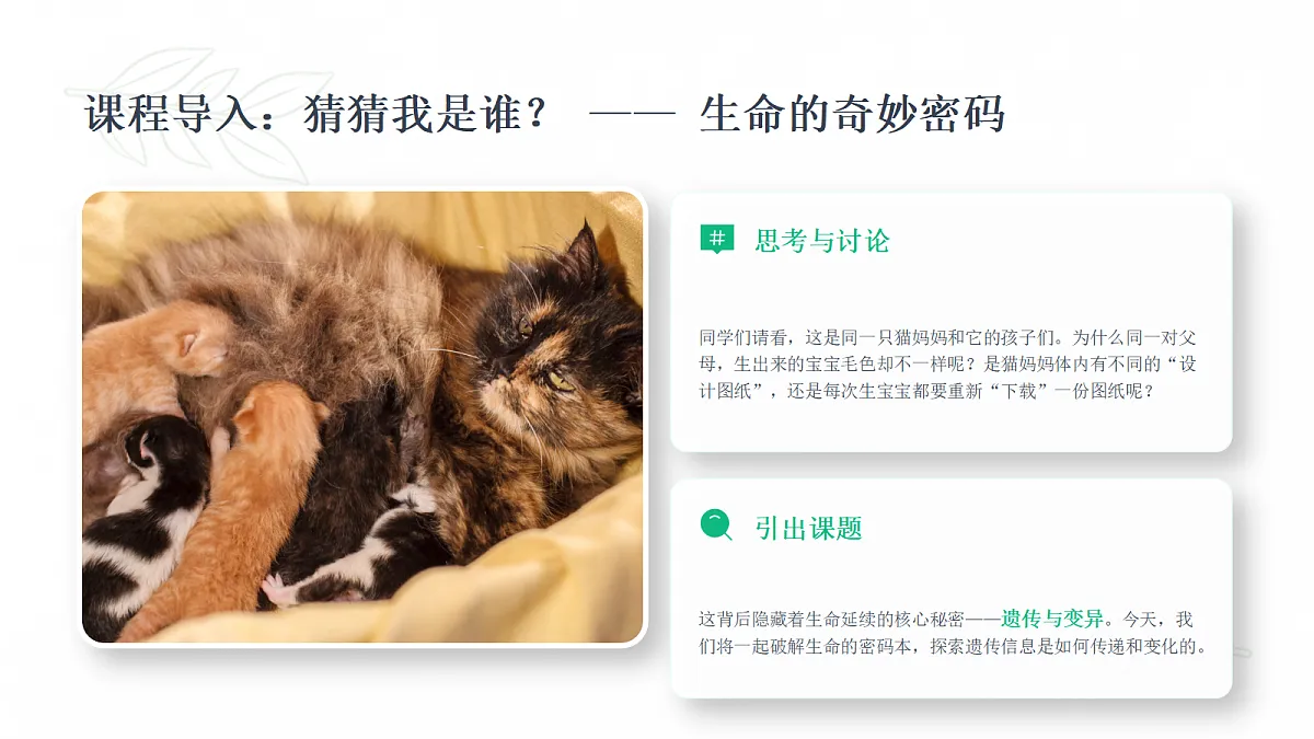 18443296第2页