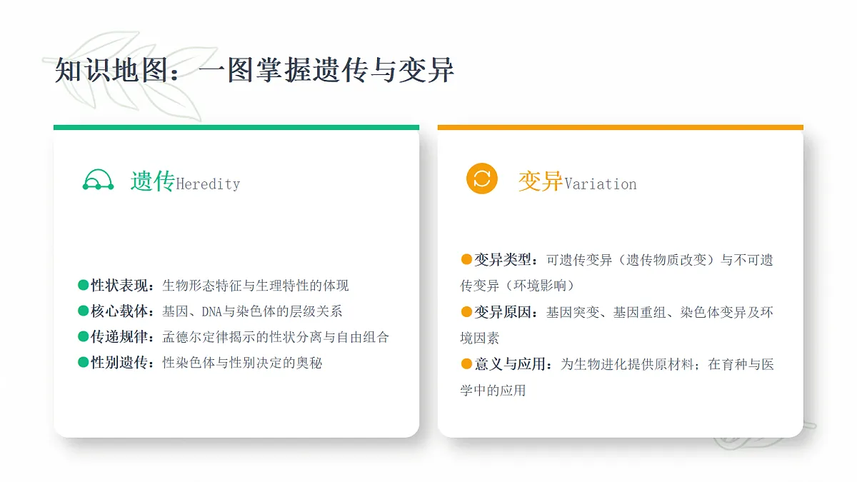 18443296第4页