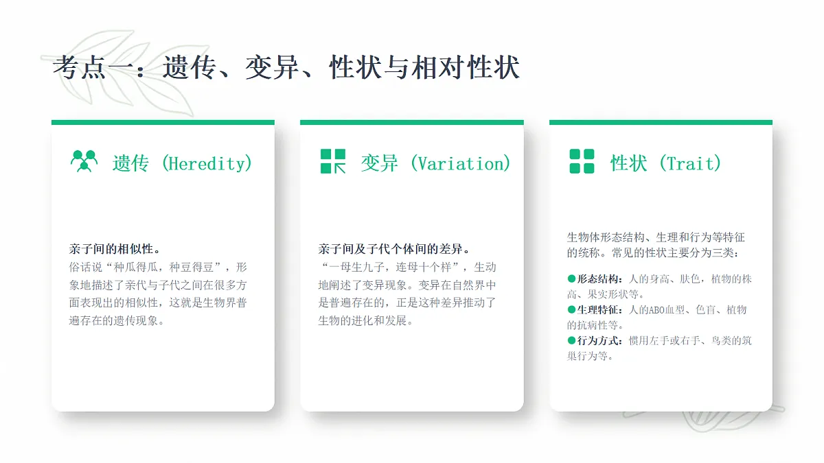 18443296第5页