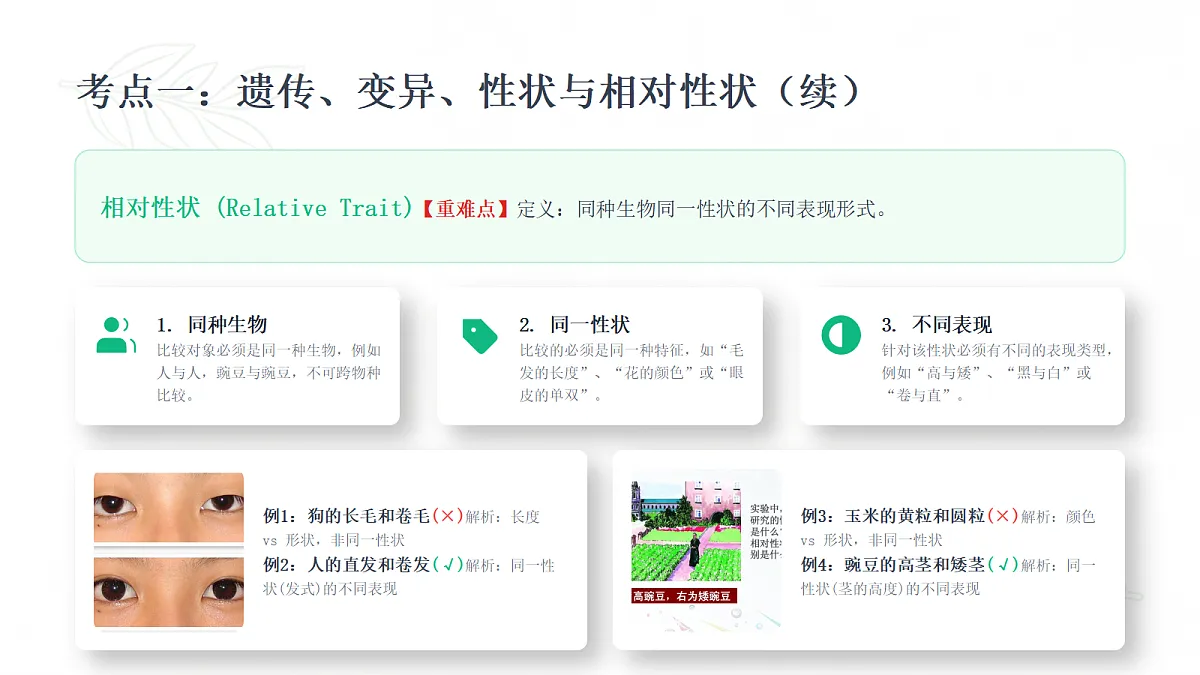 18443296第6页