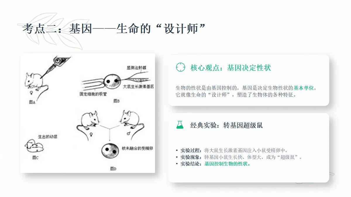 18443296第7页