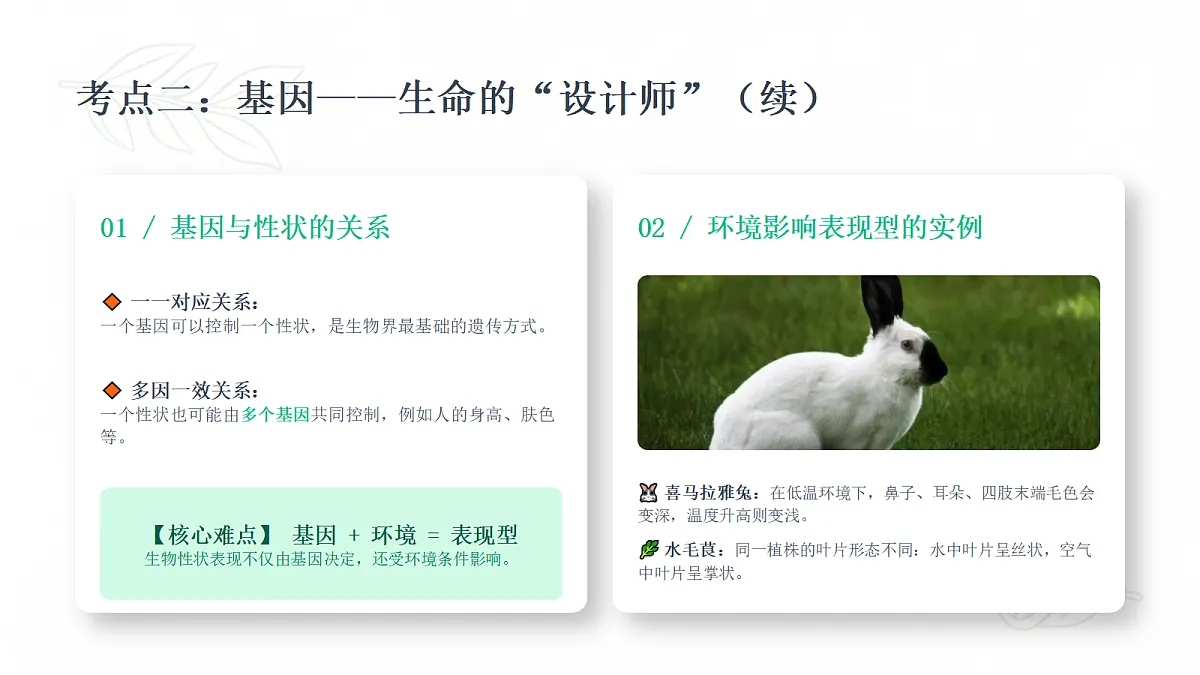 18443296第8页