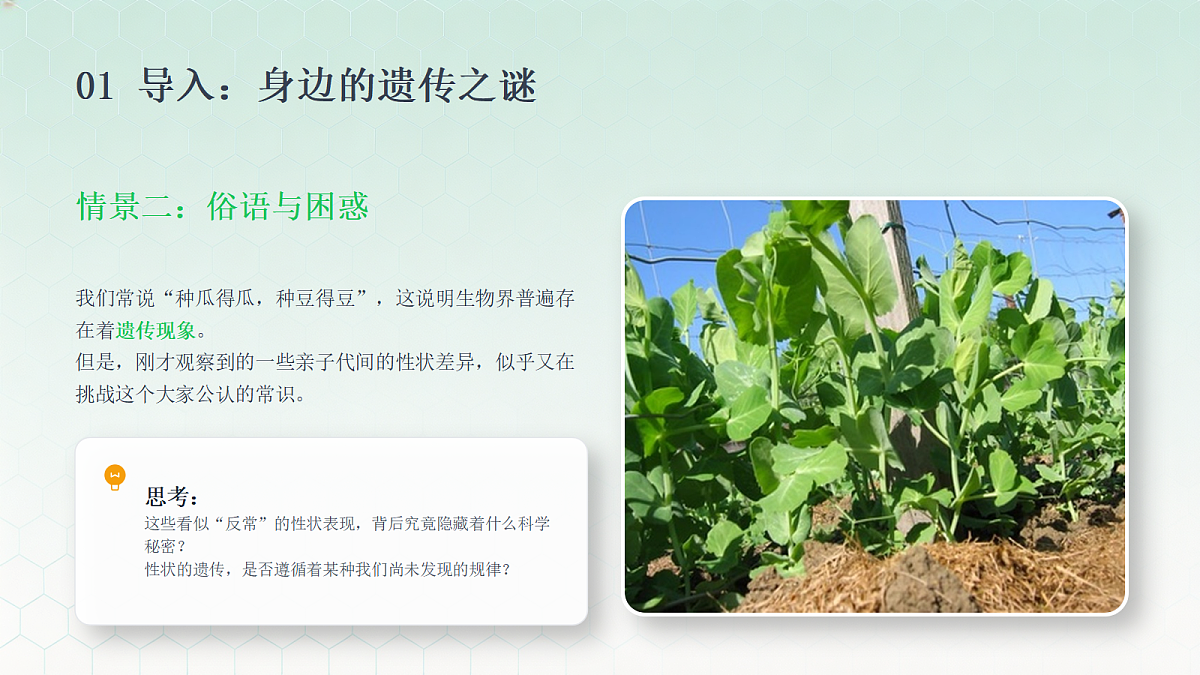 18443301第4页