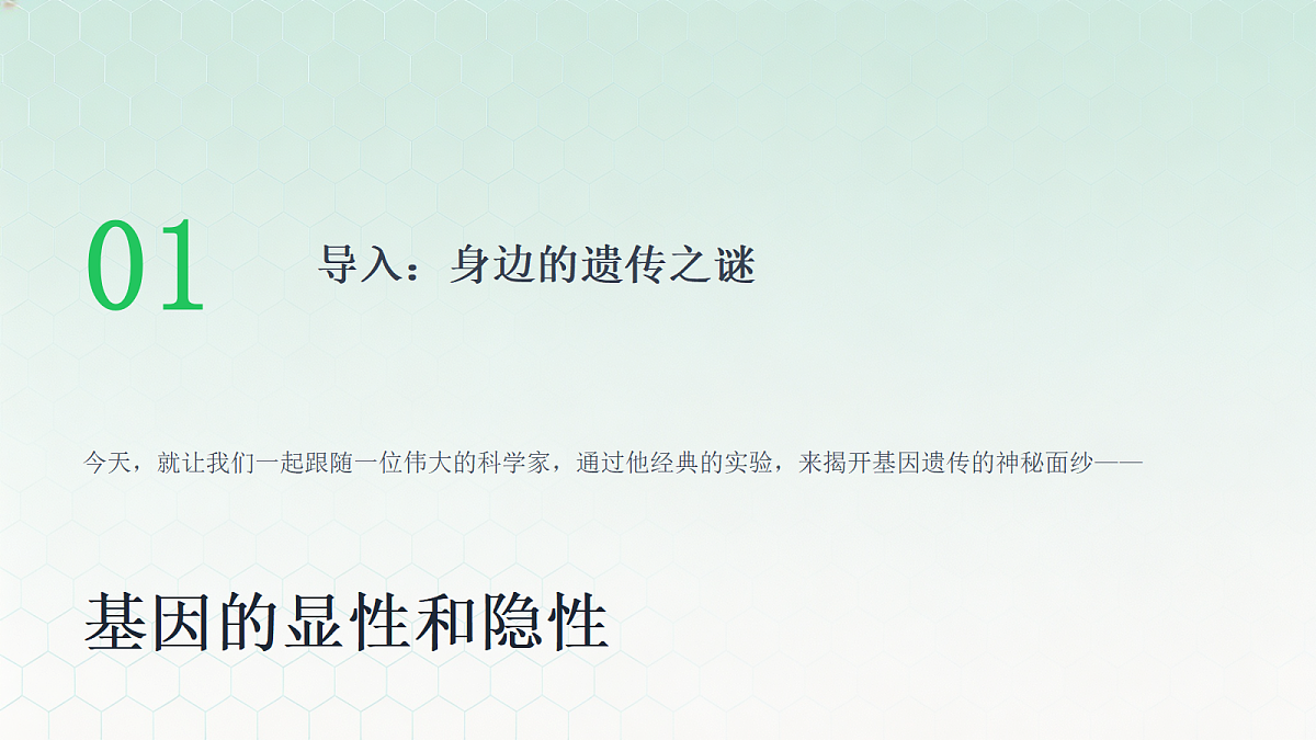 18443301第5页