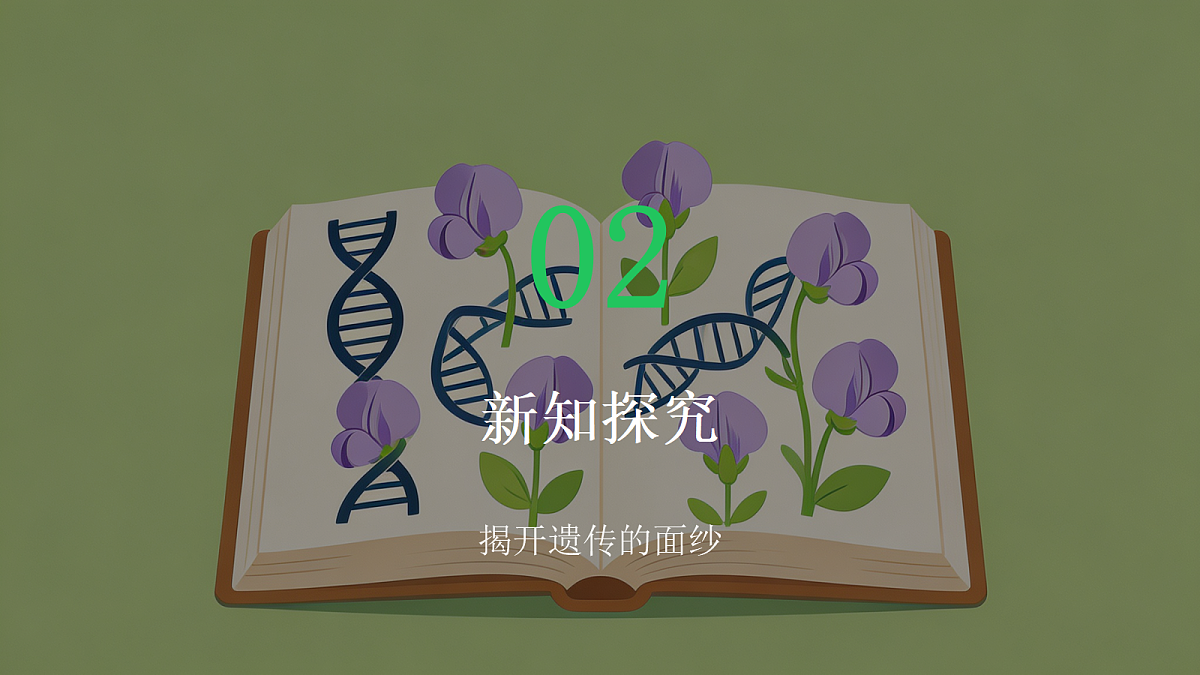 18443301第6页