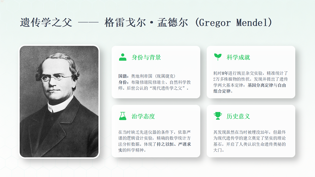 18443301第7页