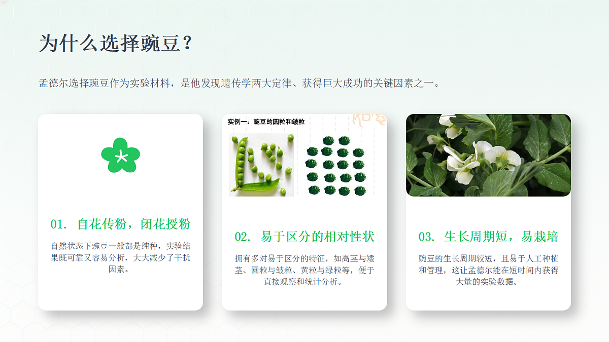 18443301第8页