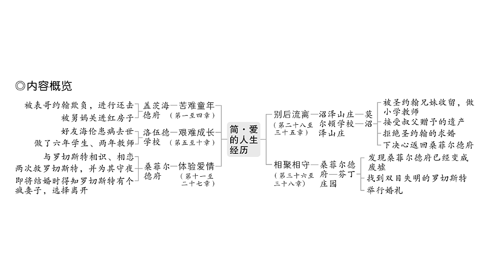 18443561第3页