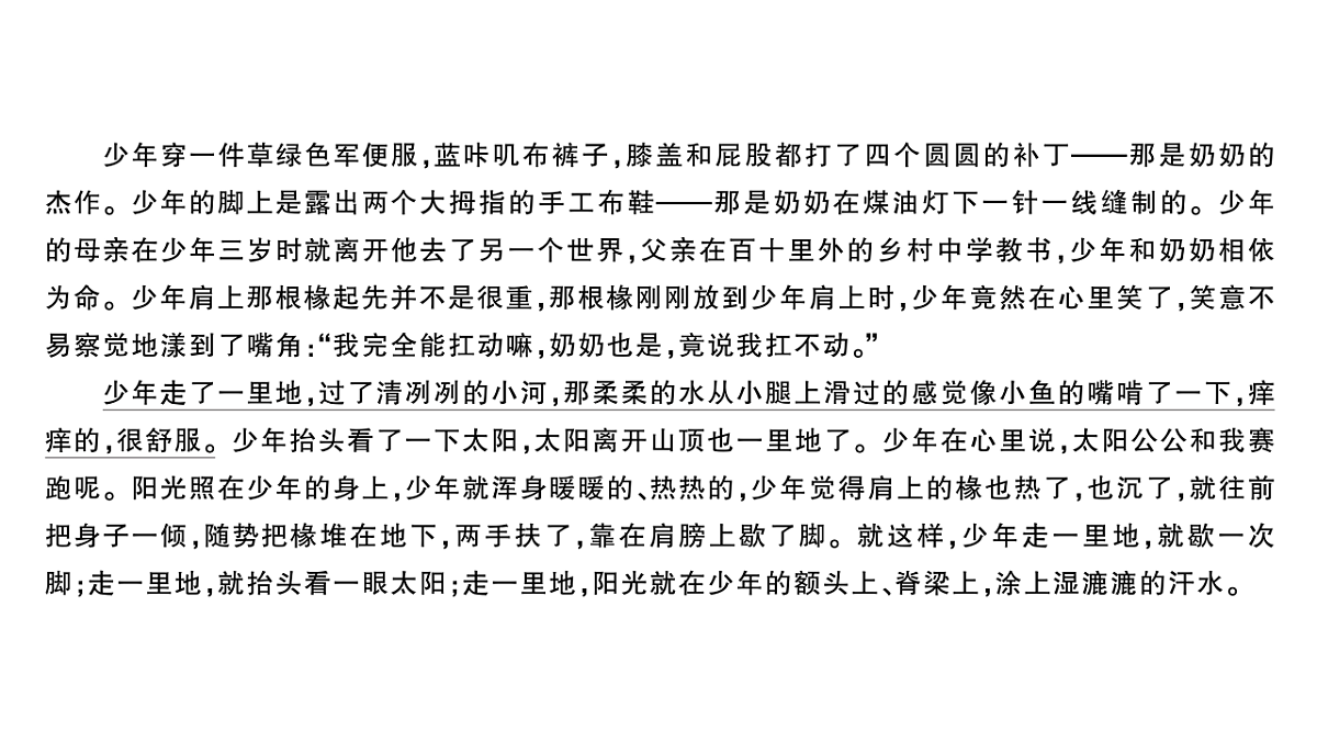 18443562第3页