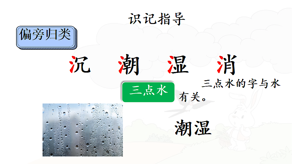 18443629第4页