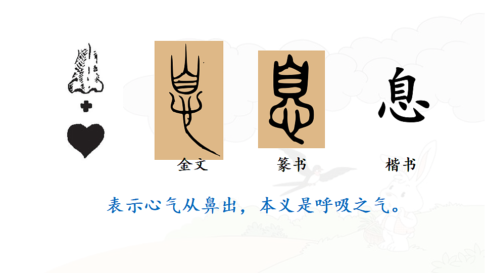 18443629第7页