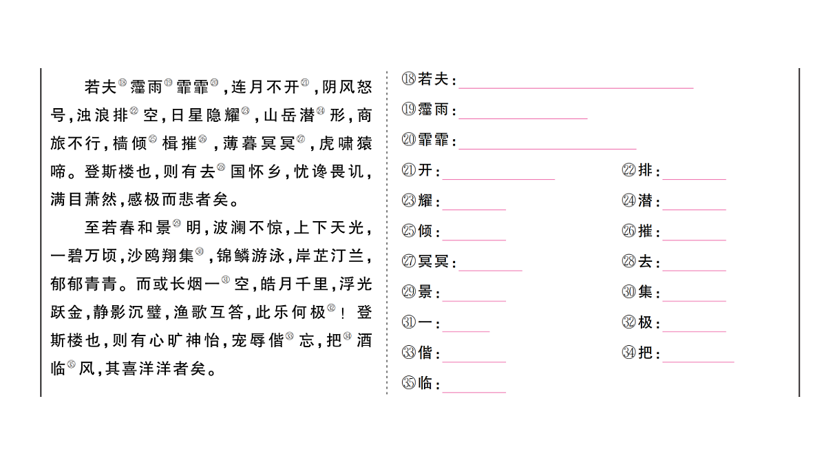 18444521第3页