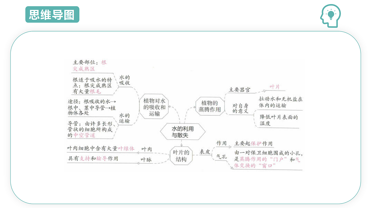 18445334第3页