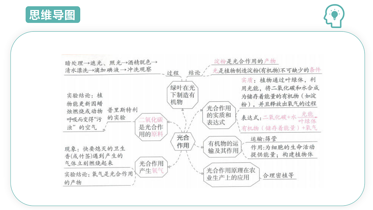 18445334第4页