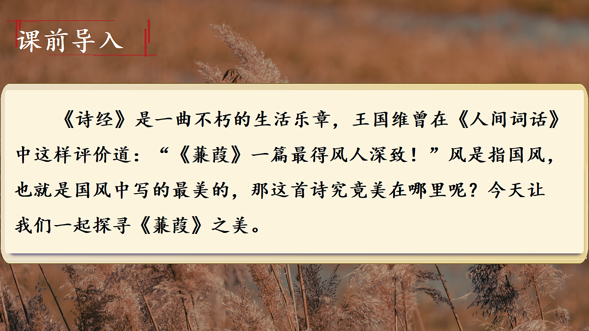 18445396第1页