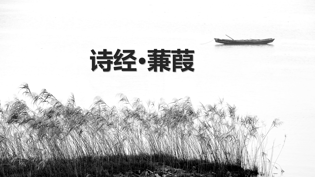 18445396第2页