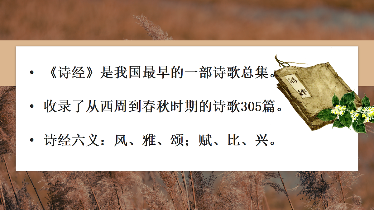 18445396第5页