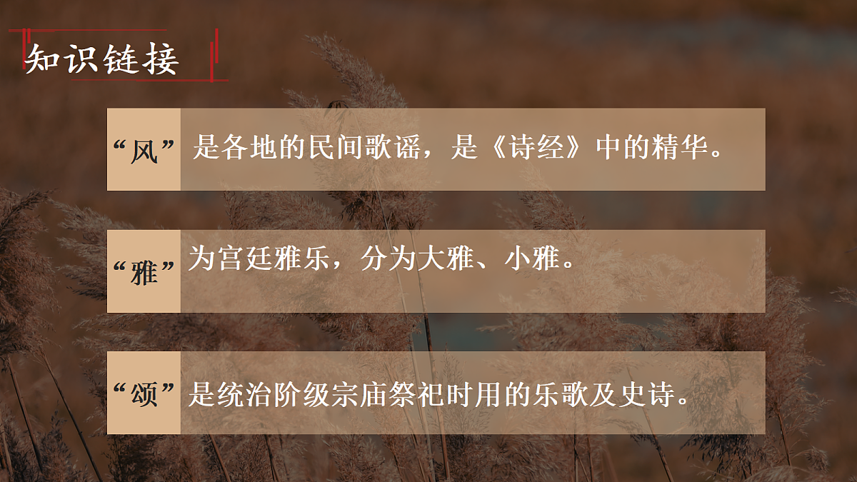 18445396第6页