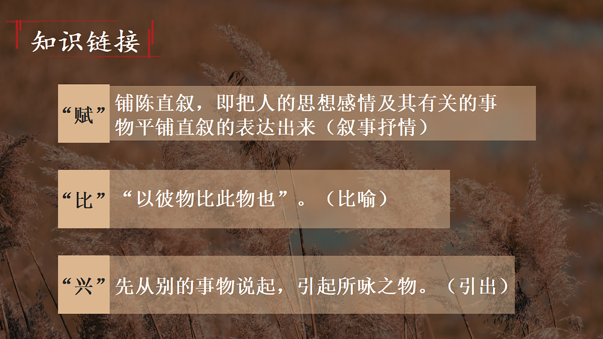 18445396第7页