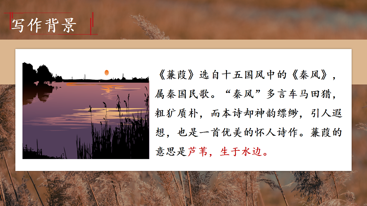 18445396第8页