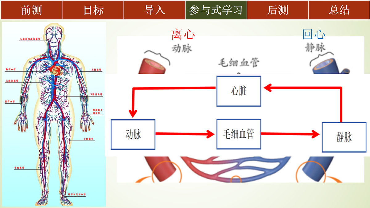 18445399第7页