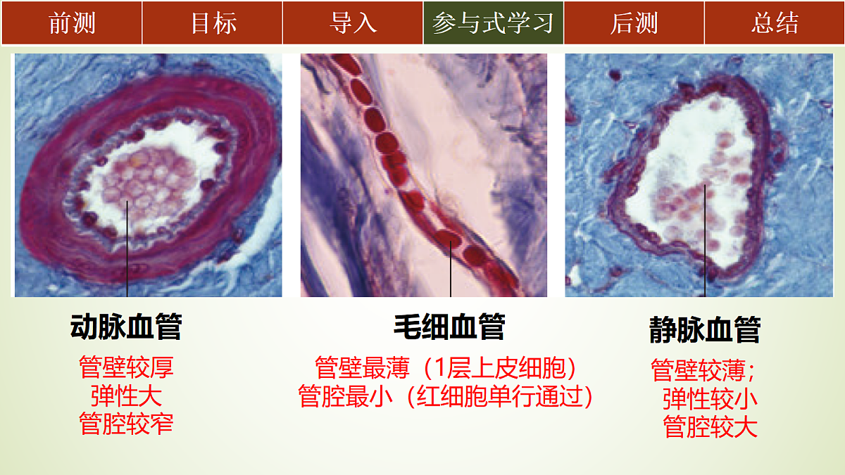 18445399第8页