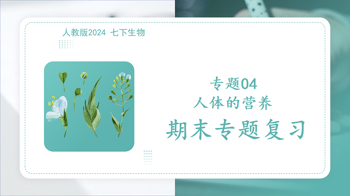 18445406第1页