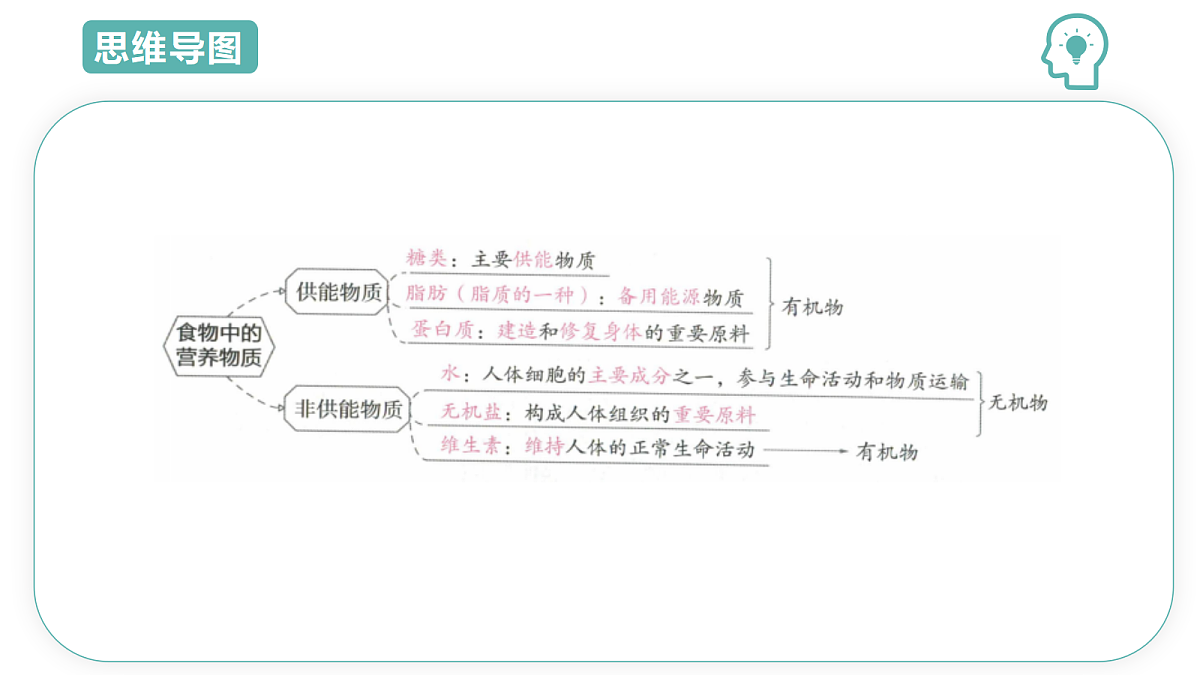 18445406第3页