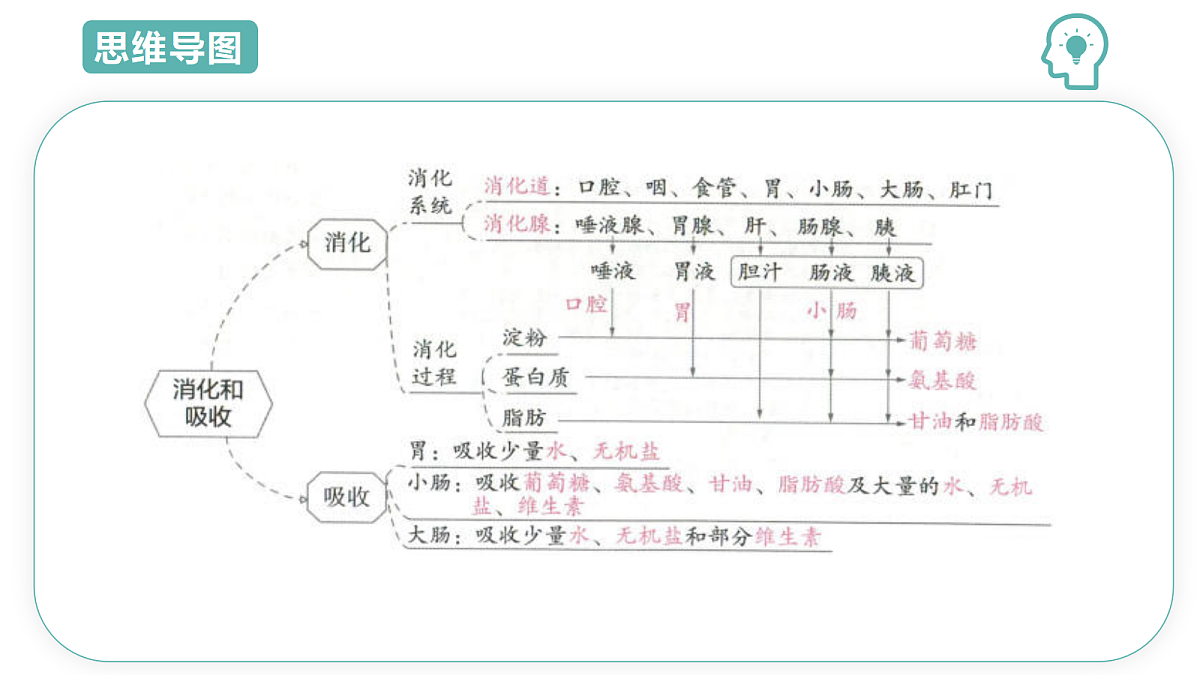 18445406第4页