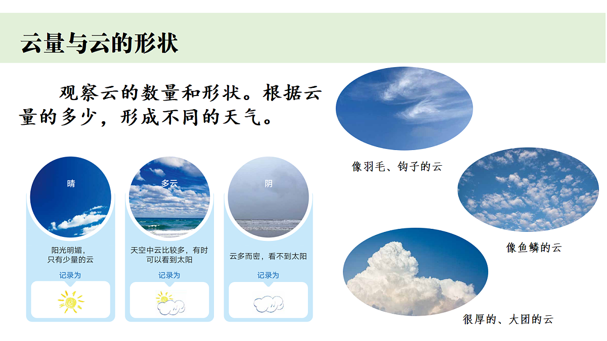 18447004第7页