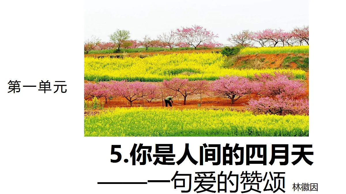 5 《你是人间的四月天——一句爱的赞颂》 教学课件第1页