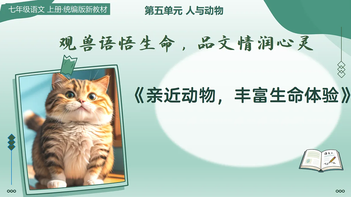 18447225第1页
