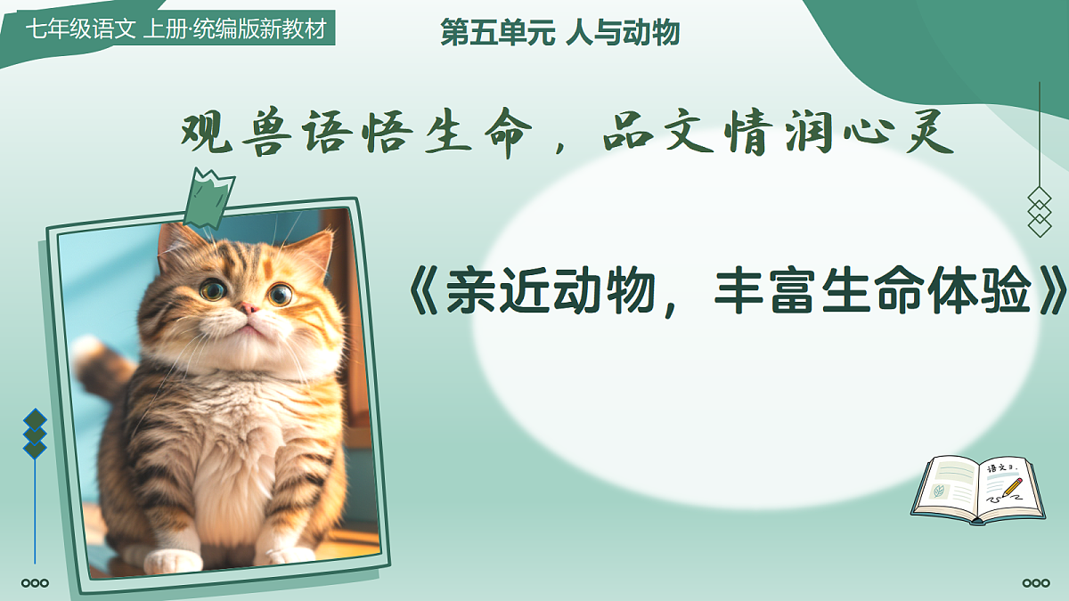 18447225第1页