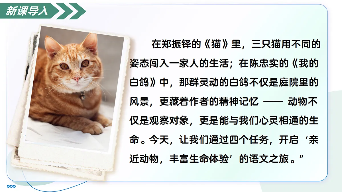 18447225第3页