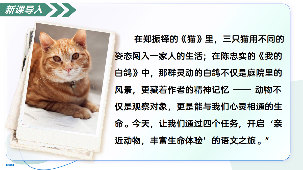 18447225第3页