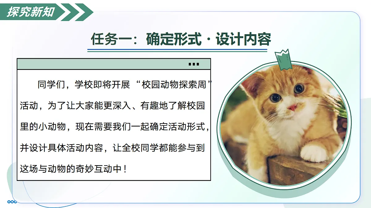 18447225第7页