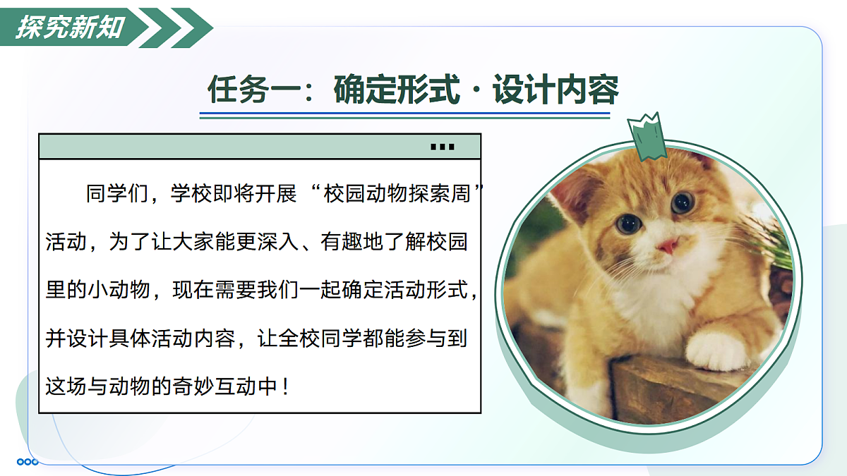 18447225第7页