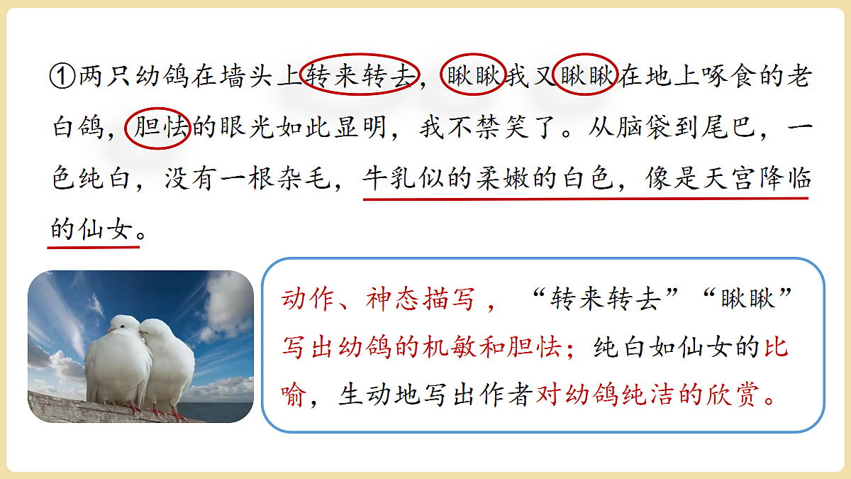 18447365第5页