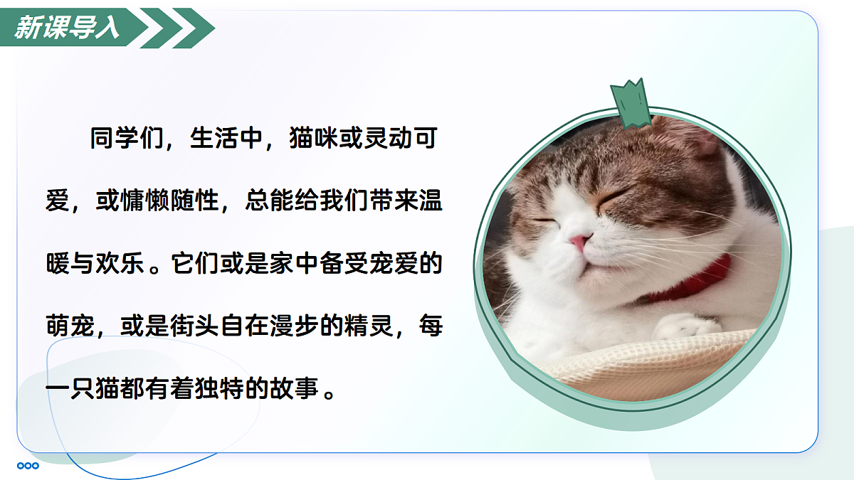 18447369第3页