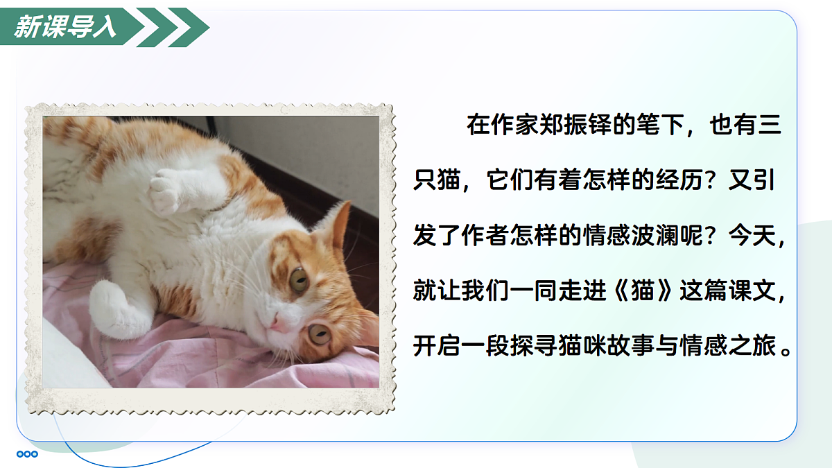 18447369第4页