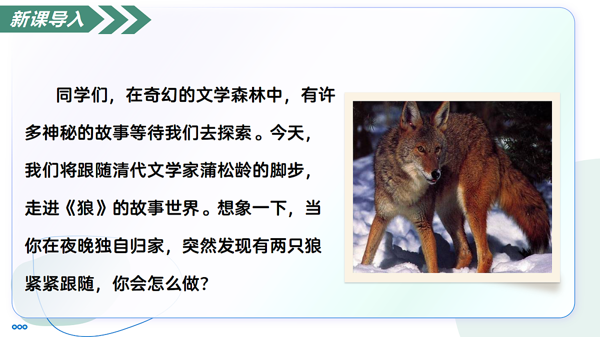 18447372第3页