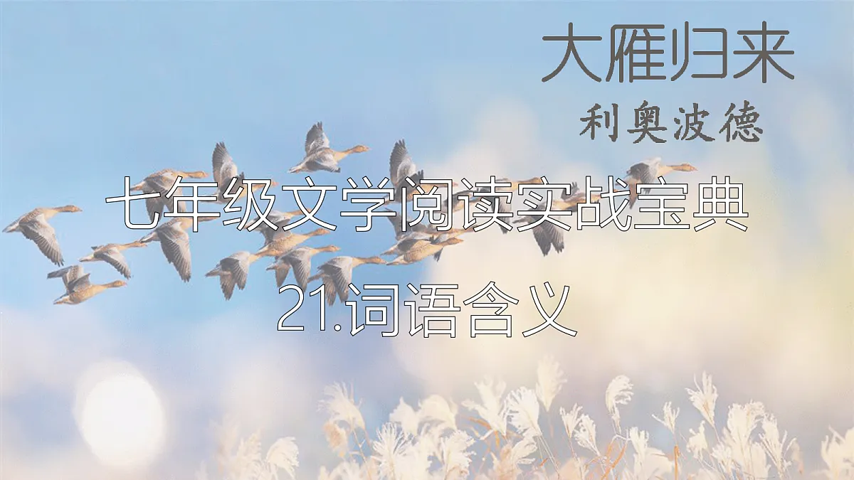 18447373第1页