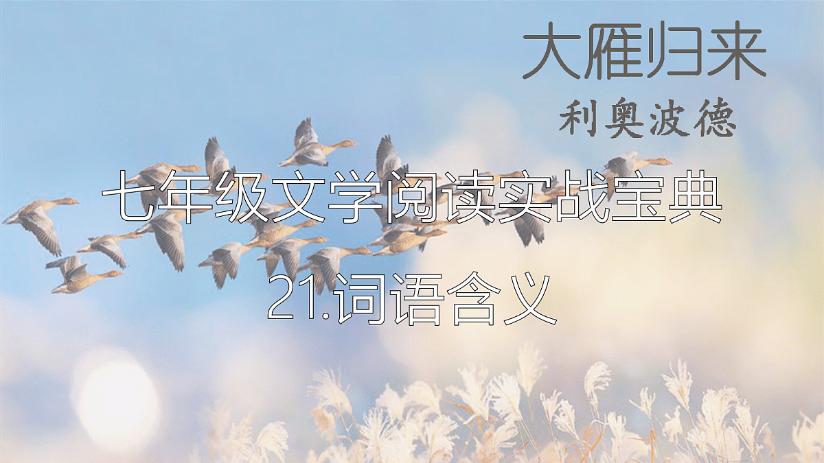 18447373第1页