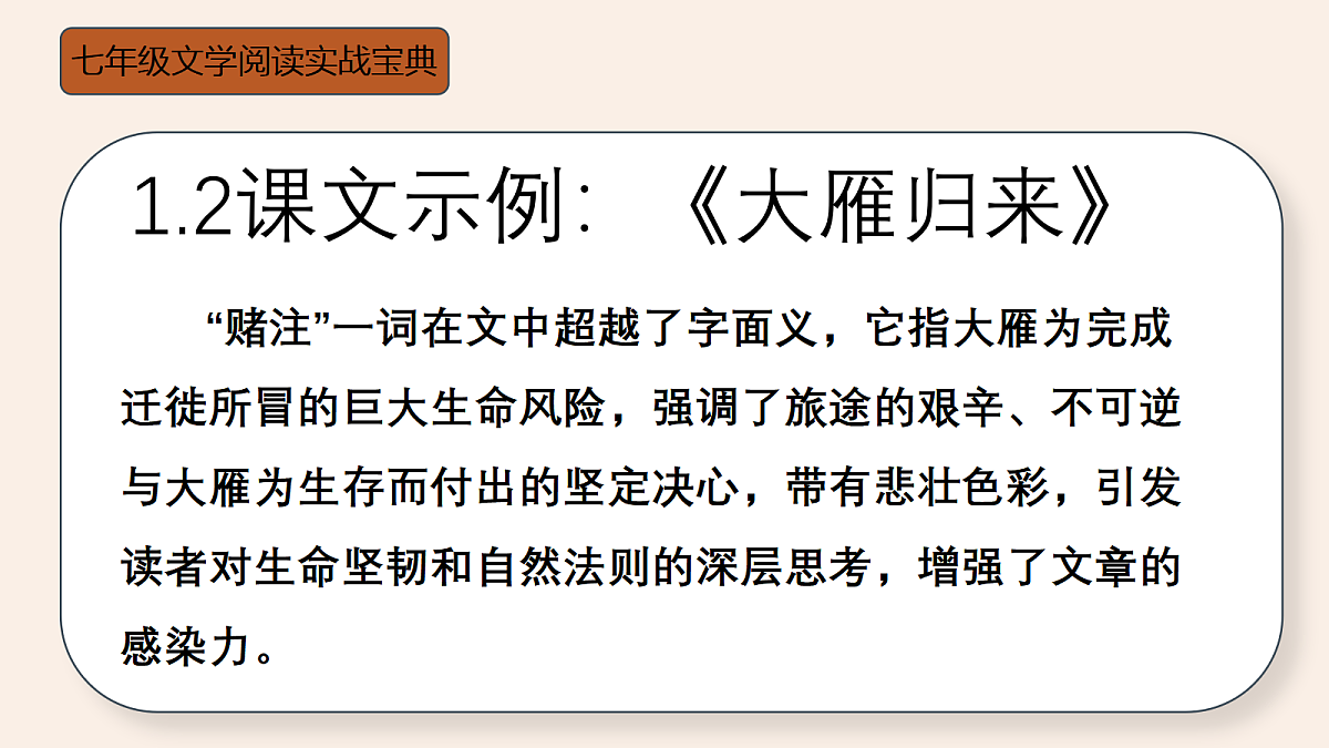 18447373第7页