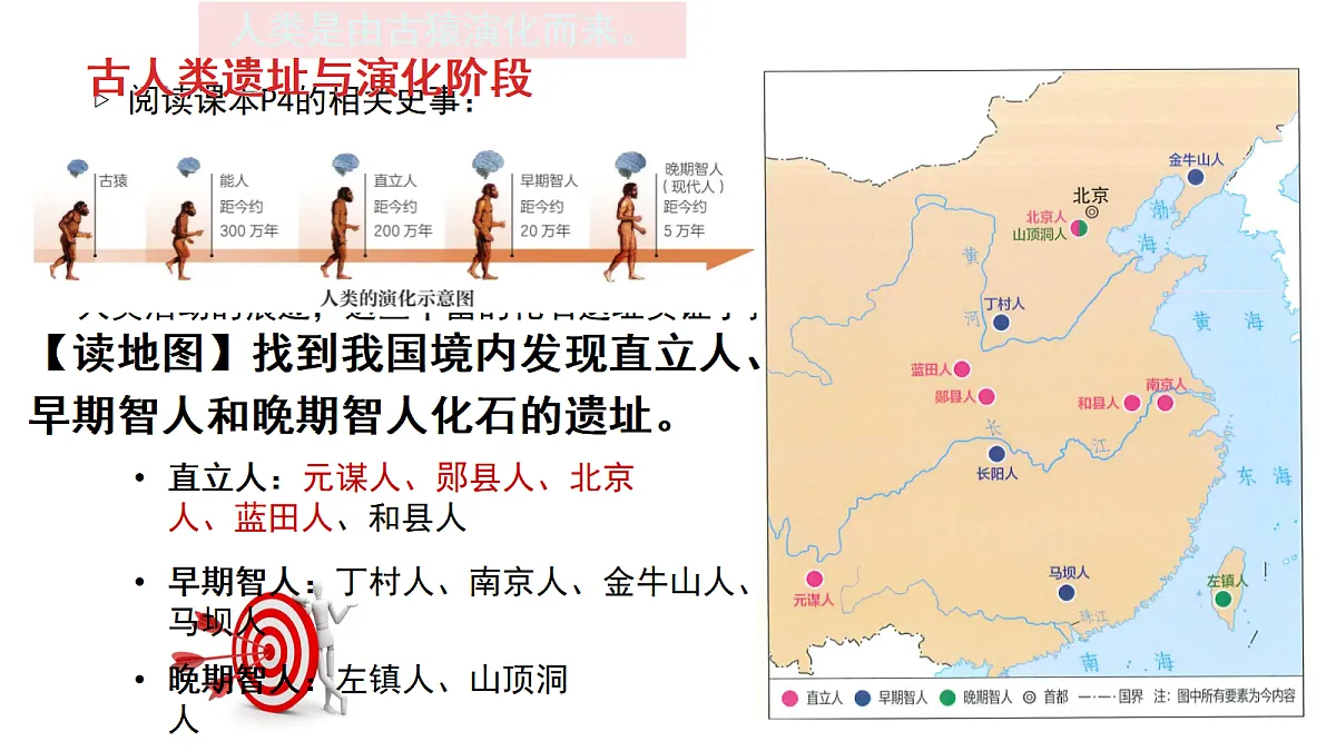 18447537第4页