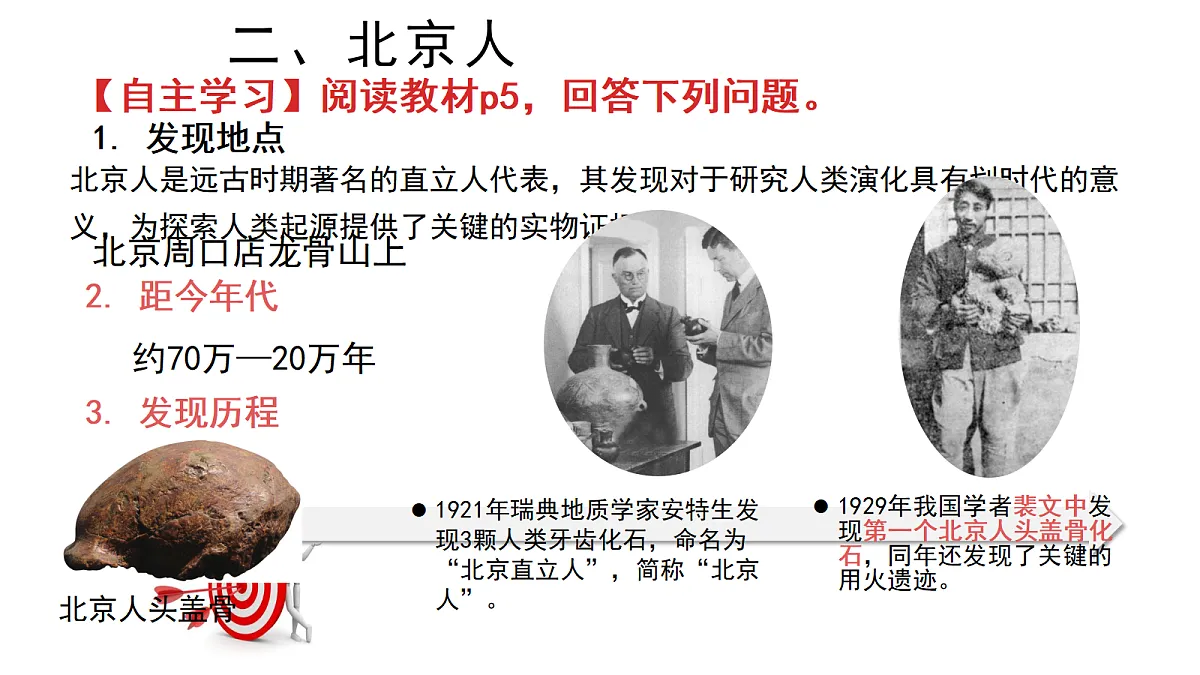 18447537第8页