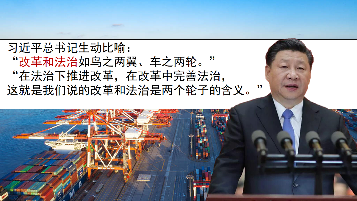 18447703第5页