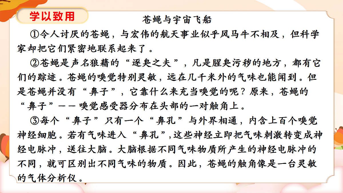 18448347第7页