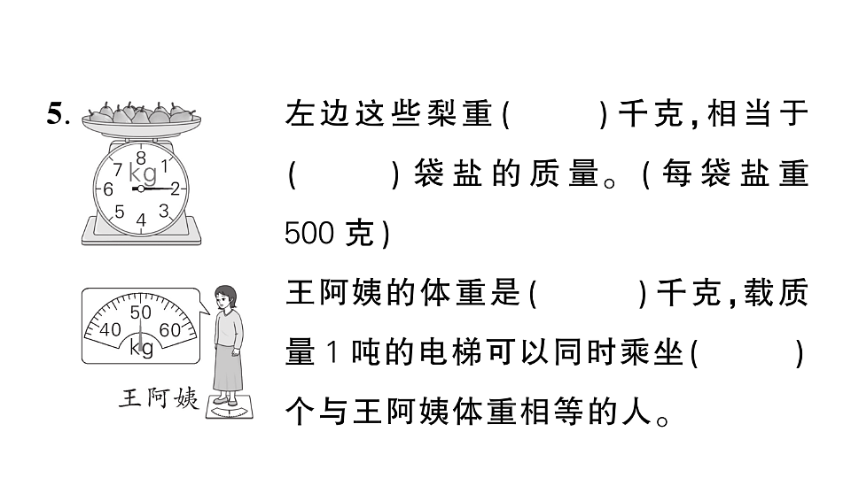 18448785第5页